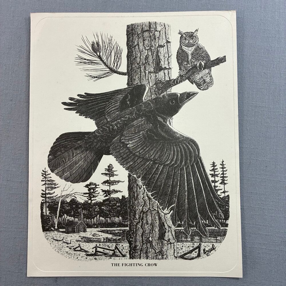 Vintage 1973 The Fighting Crow Owl J Ercel Martin Marietta Art Print 12x10